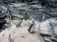 de6571ohdggbnnk5h.jpg de6571ohdggbnnk5h.jpg