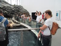 de65jdtrmly6g2tad.jpg de65jdtrmly6g2tad.jpg