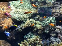 de64y6y0yiecr0c79.jpg de64y6y0yiecr0c79.jpg