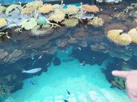 de65afkuw1amd77wl.jpg de65afkuw1amd77wl.jpg