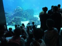 de65nyx7btptpwjph.jpg de65nyx7btptpwjph.jpg