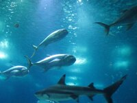 de65p4bzd2kfgi2f9.jpg de65p4bzd2kfgi2f9.jpg