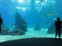 de65rd9qhfd7pg69x.jpg de65rd9qhfd7pg69x.jpg