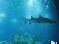 de65tcok1icqoa8cl.jpg de65tcok1icqoa8cl.jpg