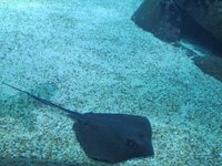 de65ug87kp5ndxg3p.jpg de65ug87kp5ndxg3p.jpg