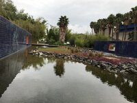 de65vwpl33e8v72rp.jpg de65vwpl33e8v72rp.jpg