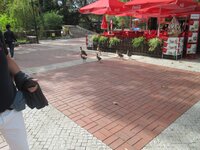 de72cc941j4anu2th.jpg de72cc941j4anu2th.jpg