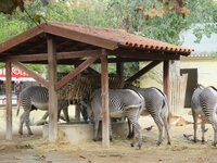 de72eu3isnfhp8ekl.jpg de72eu3isnfhp8ekl.jpg