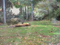 de72fs6rsxdqtfwsl.jpg de72fs6rsxdqtfwsl.jpg