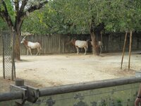 de72hvts4l0pyc4p1.jpg de72hvts4l0pyc4p1.jpg