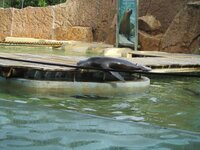 de72immgqac94uk05.jpg de72immgqac94uk05.jpg