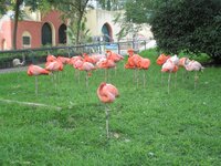 de72js5puww47lio5.jpg de72js5puww47lio5.jpg