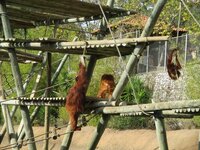 de72ko6na59e681qd.jpg de72ko6na59e681qd.jpg