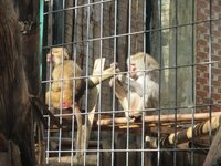 de72lllhpvv1naith.jpg de72lllhpvv1naith.jpg