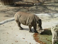 de72mur2b3fs33w79.jpg de72mur2b3fs33w79.jpg