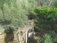 de72vw3m6cnn01k91.jpg de72vw3m6cnn01k91.jpg