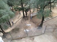 de72yp8u26530kfr9.jpg de72yp8u26530kfr9.jpg