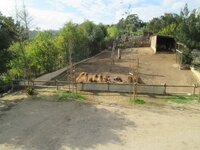 de731bai4yop8bkjp.jpg de731bai4yop8bkjp.jpg