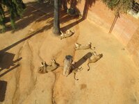 de732s05pf7u8nnwl.jpg de732s05pf7u8nnwl.jpg