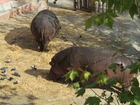 de7351cli6e011sqt.jpg de7351cli6e011sqt.jpg