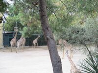 de736iazzx12hgurp.jpg de736iazzx12hgurp.jpg