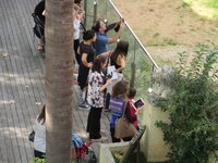 de737mbie7wibs7np.jpg de737mbie7wibs7np.jpg