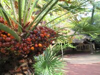 de73bavgoyu6jpg3p.jpg de73bavgoyu6jpg3p.jpg