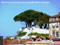 de769yufa9ar6r5xh.jpg de769yufa9ar6r5xh.jpg