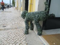 de7dy6f27ope8dnlx.jpg de7dy6f27ope8dnlx.jpg