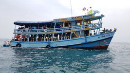 20180408_115046_001.jpg