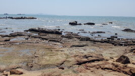 20180409_134721.jpg