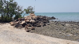 20180409_133758.jpg