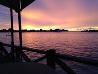 IMG_5796.jpg
