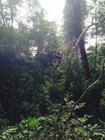 IMG_5755.jpg