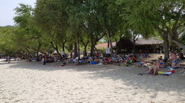 20180415_104259.jpg