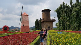 20180416_110945.jpg