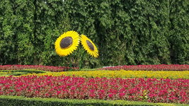 20180416_111014.jpg