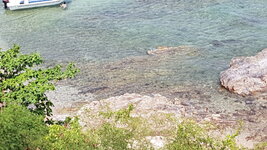 20180416_142723.jpg
