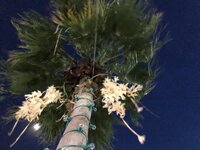 E5308AC6-6BCB-4EAE-ADB3-DA7195E32848.jpeg