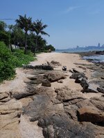IMG-20180409-WA0007.jpg
