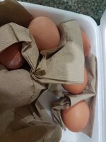 20181019_162550.jpg 20181019_162550.jpg