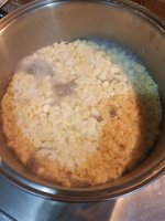 20181019_172001.jpg 20181019_172001.jpg