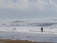 IMG_3741.jpg