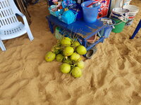 20180406_130307.jpg