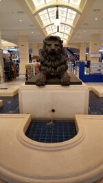 DSC_0514.JPG