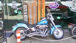 DSC_0555.JPG