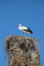 DSCF4189.JPG