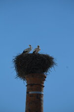 DSCF4181.JPG