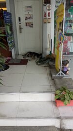 DSC_0696.JPG