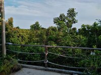IMG_20180815_172041.jpg
